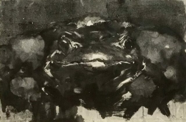 Estampe contemporaine, expressif, animalité, lumière, crapaud, Toulouse, occitanie