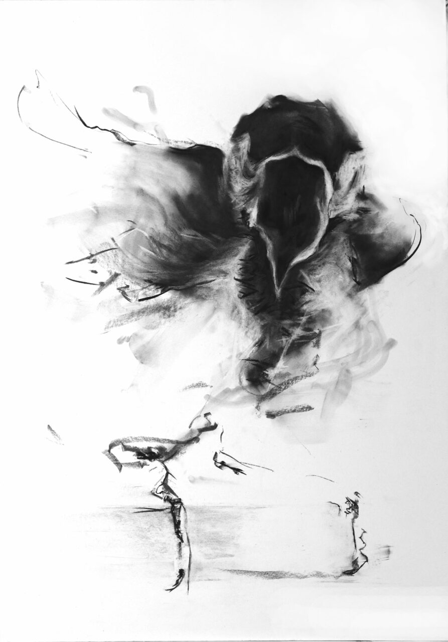 Grand dessin expressif en noir et blanc d'un oiseau par Mathilde du Mesnildot
