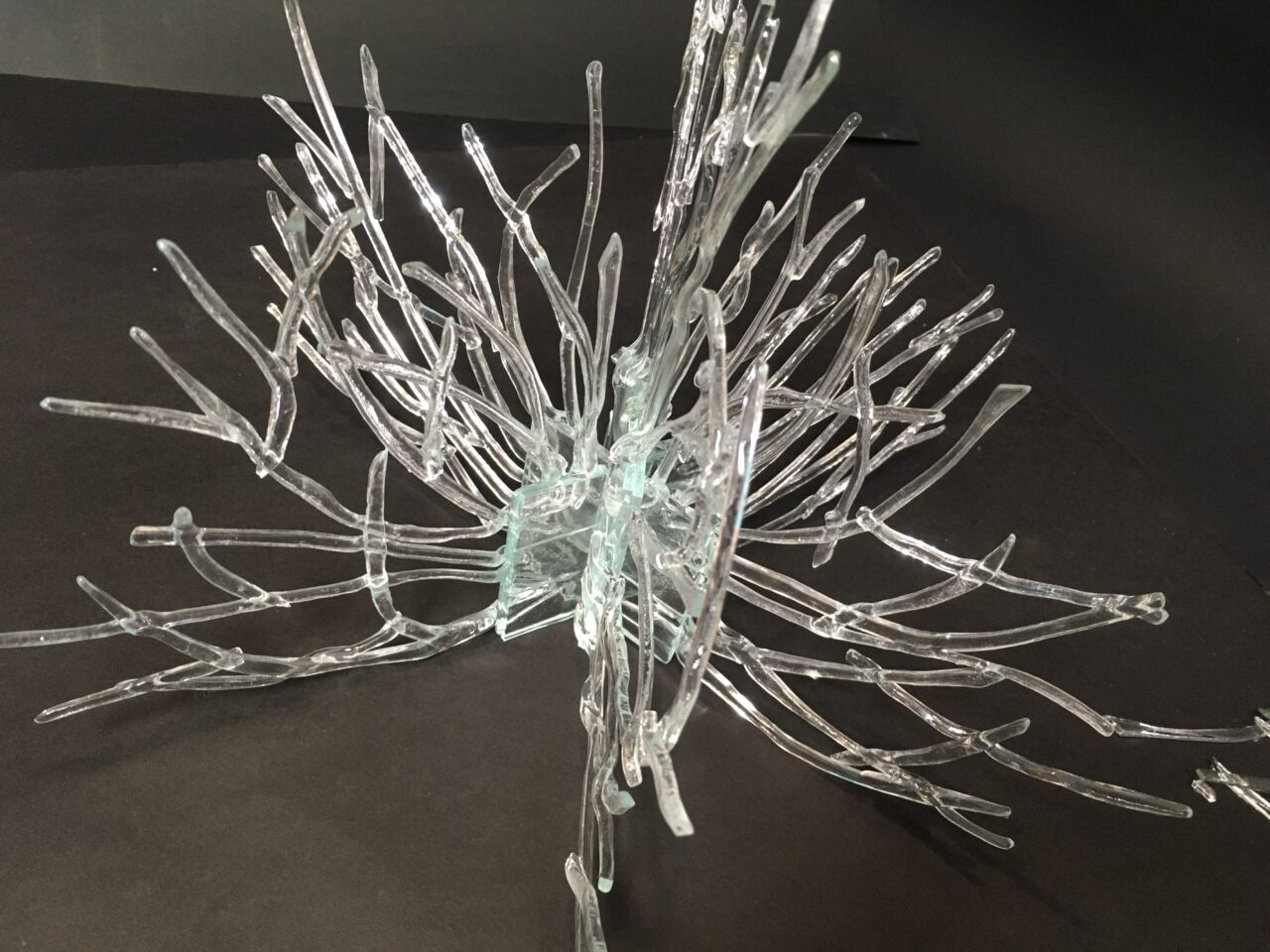 Sculpture en verre, par Mathilde du Mesnildot, Transparence, reflets, végétal, art verrier contemporain