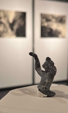 Sculptures contemporaines - Installation Dessin -Verre - Vitrail - Matières - Expressionnisme - Existentialisme écologique Perception - Sensation - Réel - Morphogenèse- Animalité - Vulnérabilité - Vivant - Toulouse - Occitanie