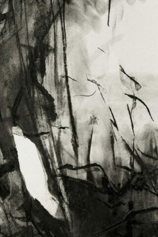 Fusain - Peinture - Dessin -Matières - Expressionnisme - Existentialisme écologique - Textures - Surface - Profondeur - Transparence - Lumière - Perception - Sensation - Réel - Morphogenèse- Naissance - Vulnérabilité - Vivant - Toulouse Occitanie